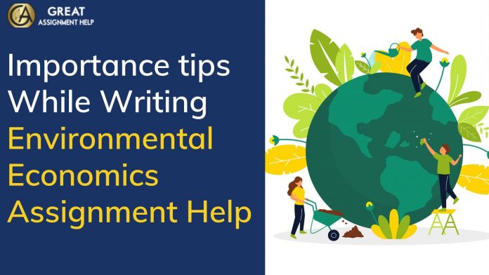 Environmental economics assignment help