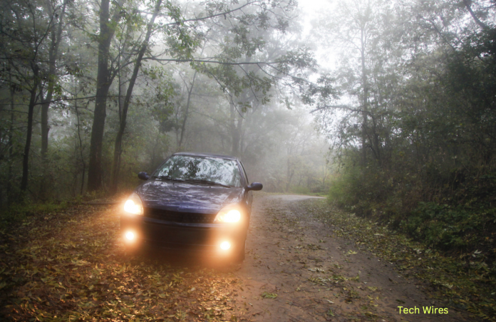 Driving in Fog: When and How to Use Fog Lights While Driving