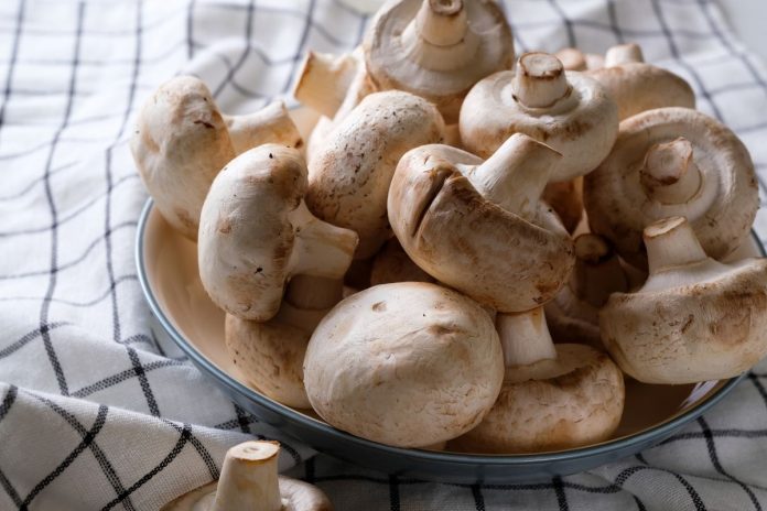 The Benefits Of Mushrooms Are Fantastic For Your Overall Health