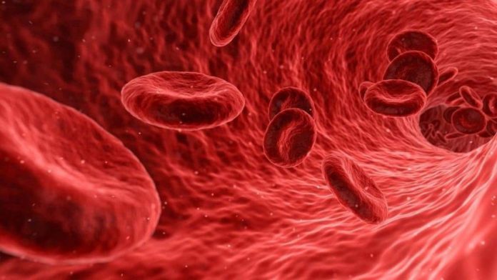 increase-hemoglobin